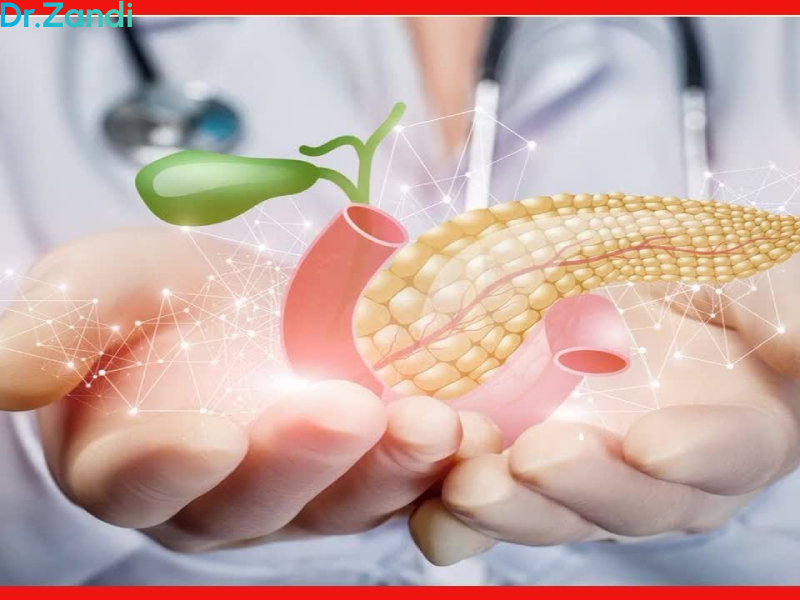 محل قرار گیری پانکراس در بدن